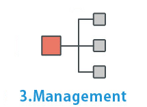 3.Management